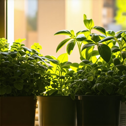 DIY unutrašnji vrt za začinsko bilje: Brzi vodič za početnike